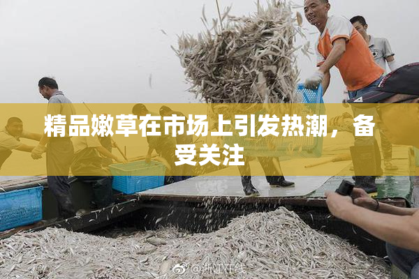精品嫩草在市场上引发热潮，备受关注