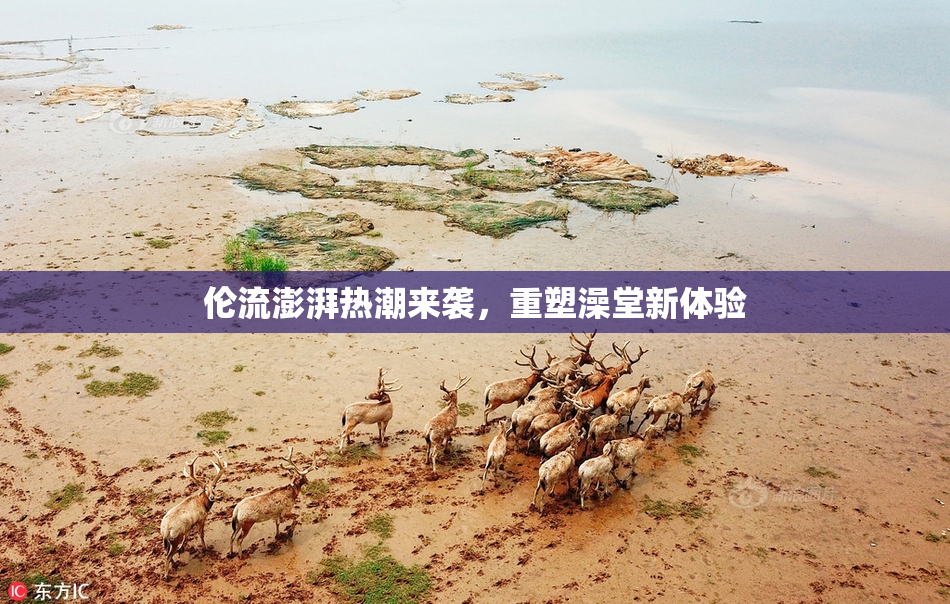 伦流澎湃热潮来袭，重塑澡堂新体验