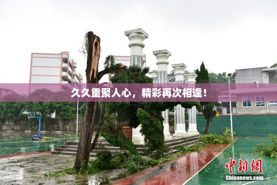 久久重聚人心，精彩再次相逢！