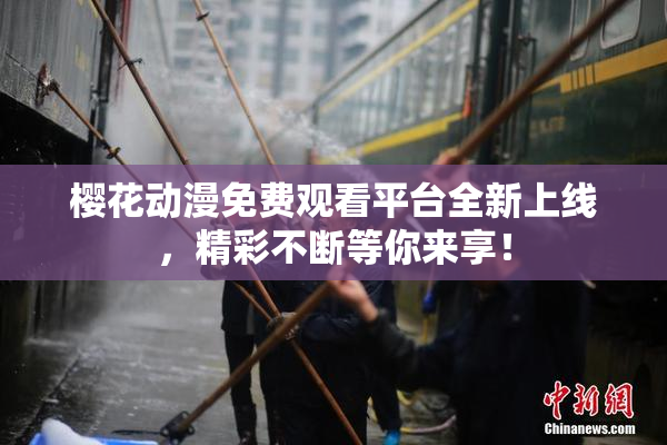 樱花动漫免费观看平台全新上线，精彩不断等你来享！