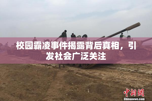 校园霸凌事件揭露背后真相，引发社会广泛关注