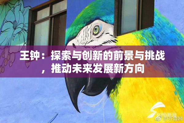 王钟：探索与创新的前景与挑战，推动未来发展新方向