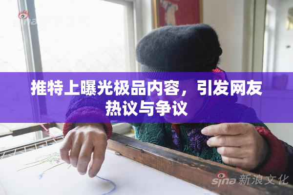 推特上曝光极品内容，引发网友热议与争议