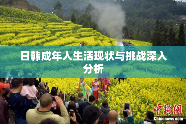 日韩成年人生活现状与挑战深入分析