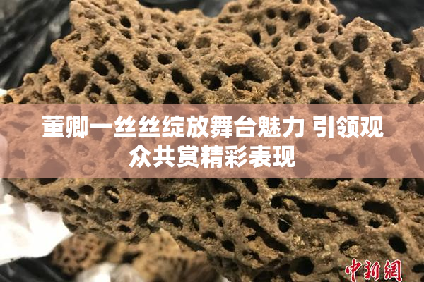 董卿一丝丝绽放舞台魅力 引领观众共赏精彩表现