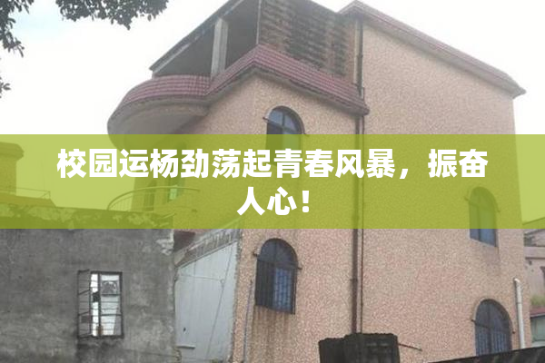 校园运杨劲荡起青春风暴，振奋人心！