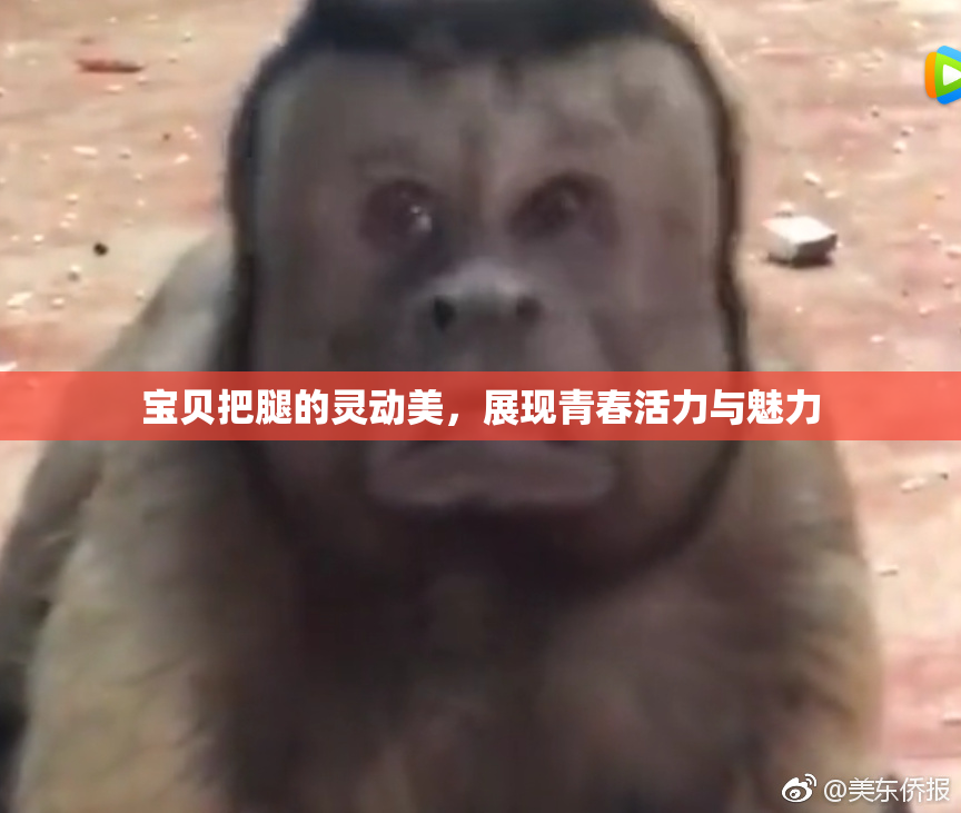 宝贝把腿的灵动美，展现青春活力与魅力