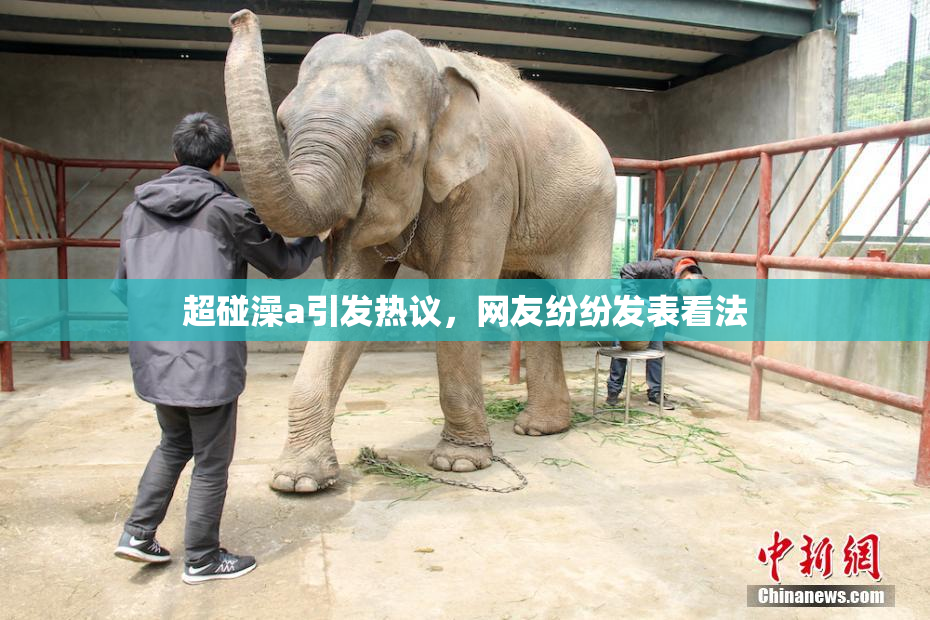 超碰澡a引发热议，网友纷纷发表看法