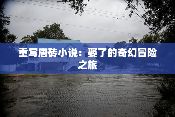 重写唐砖小说：娶了的奇幻冒险之旅