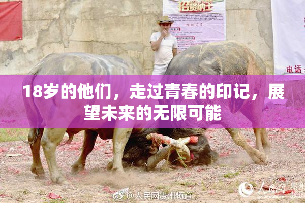 18岁的他们，走过青春的印记，展望未来的无限可能