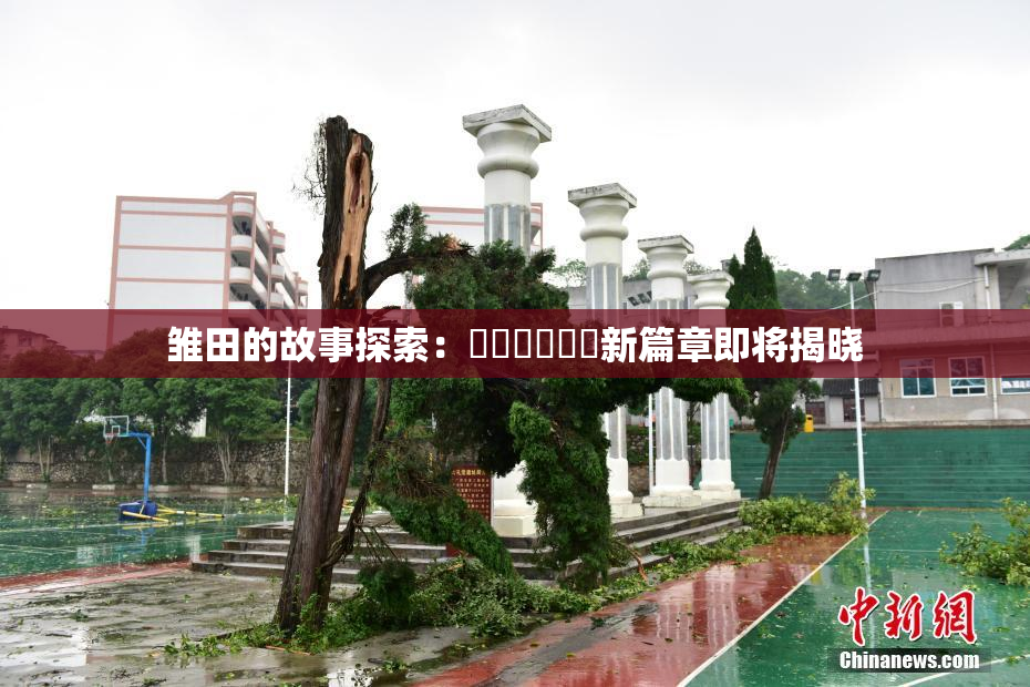 雏田的故事探索：❌‌❌‌❌‌新篇章即将揭晓