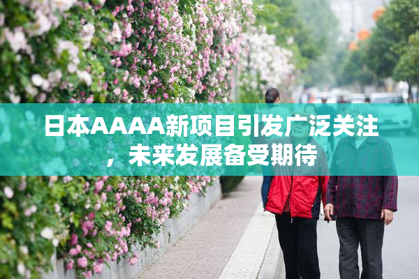 日本AAAA新项目引发广泛关注，未来发展备受期待