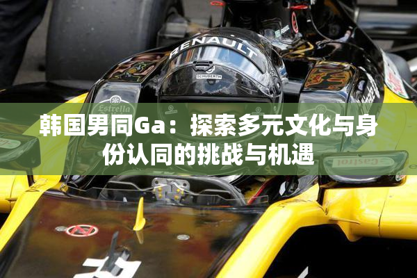 韩国男同Ga：探索多元文化与身份认同的挑战与机遇