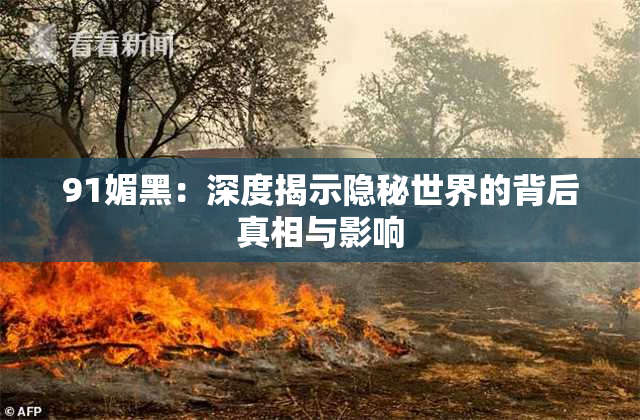 91媚黑：深度揭示隐秘世界的背后真相与影响