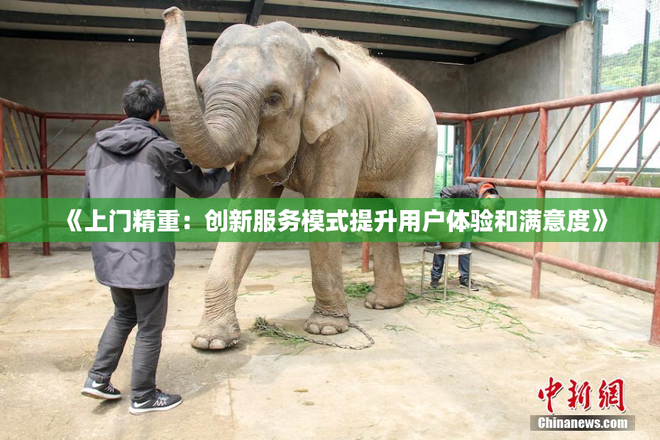 《上门精重：创新服务模式提升用户体验和满意度》