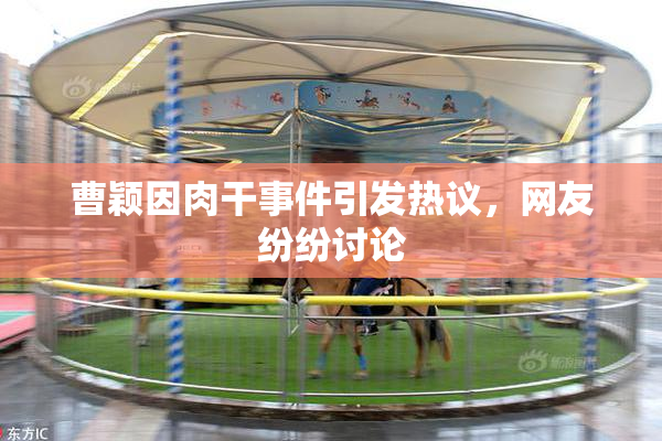 曹颖因肉干事件引发热议，网友纷纷讨论