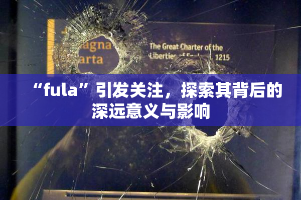 “fula”引发关注，探索其背后的深远意义与影响