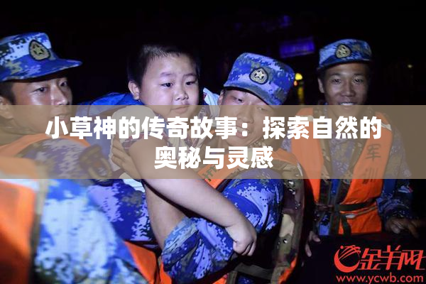 小草神的传奇故事：探索自然的奥秘与灵感