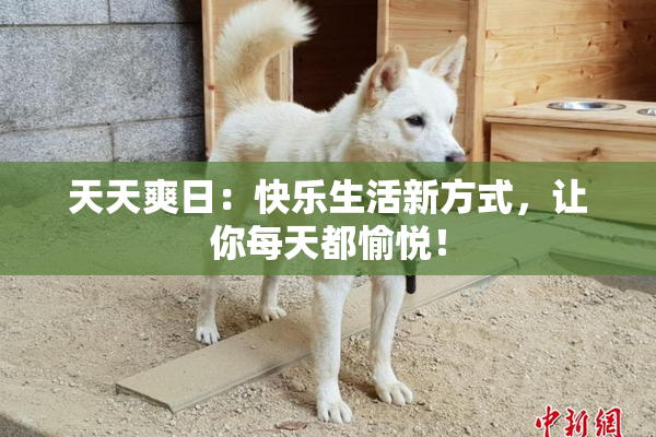 天天爽日：快乐生活新方式，让你每天都愉悦！