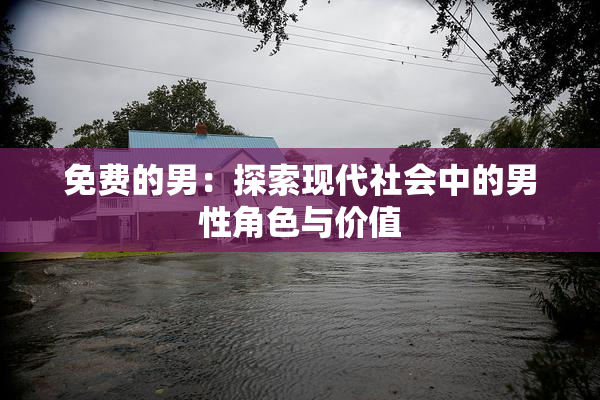 免费的男：探索现代社会中的男性角色与价值