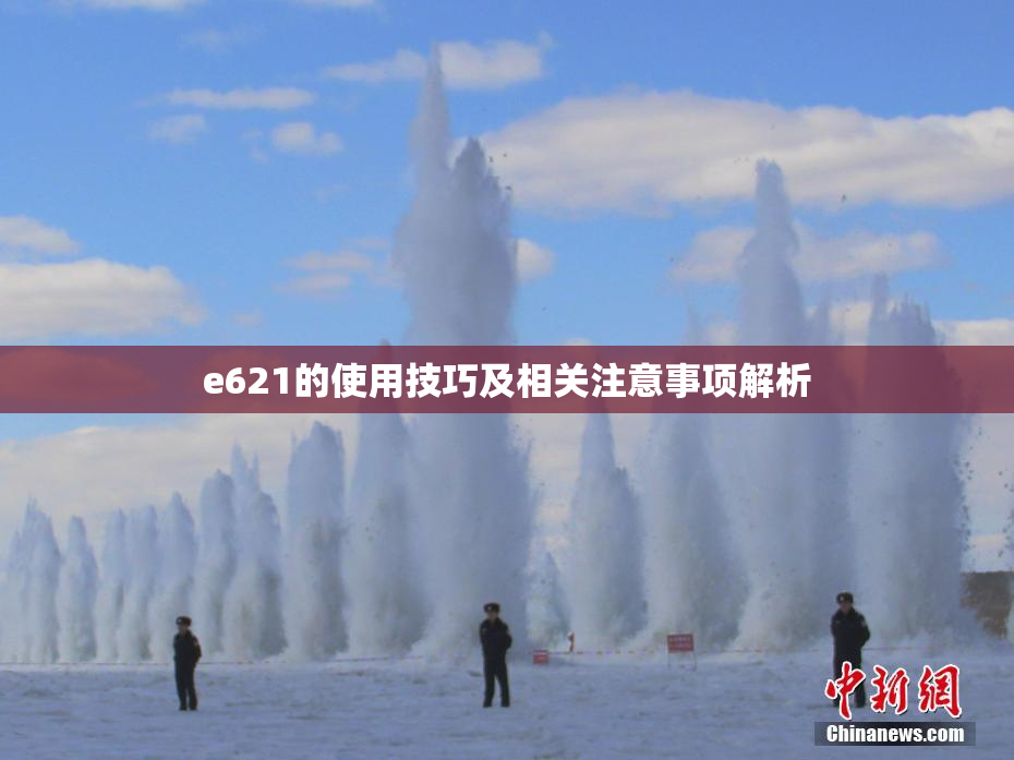 e621的使用技巧及相关注意事项解析