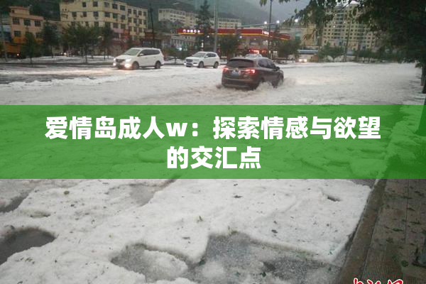 爱情岛成人w：探索情感与欲望的交汇点