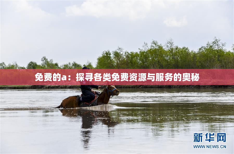 免费的a：探寻各类免费资源与服务的奥秘