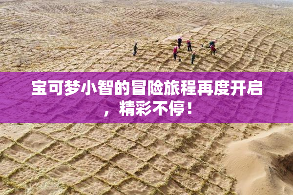 宝可梦小智的冒险旅程再度开启，精彩不停！