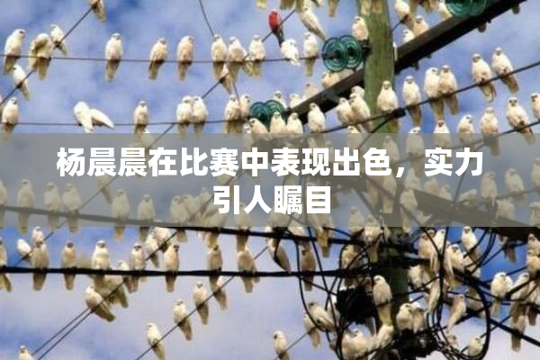 杨晨晨在比赛中表现出色，实力引人瞩目