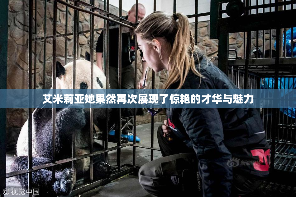 艾米莉亚她果然再次展现了惊艳的才华与魅力