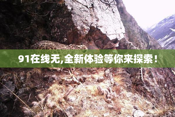 91在线无,全新体验等你来探索！