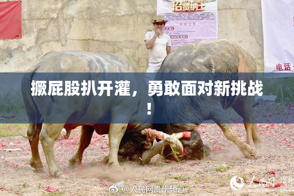 撅屁股扒开灌，勇敢面对新挑战！