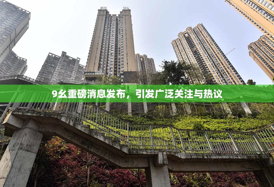 9幺重磅消息发布，引发广泛关注与热议