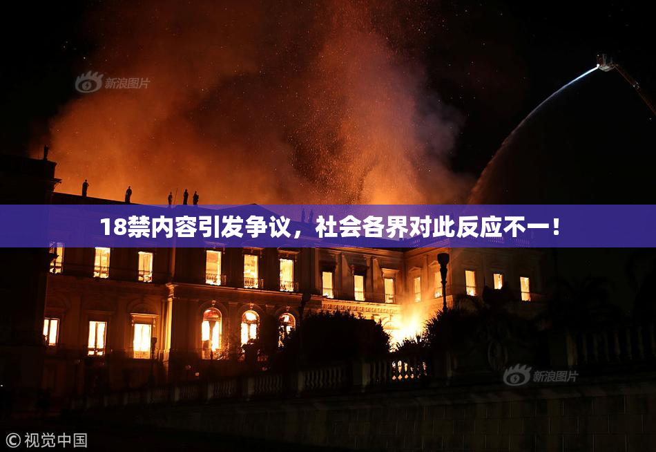 18禁内容引发争议，社会各界对此反应不一！