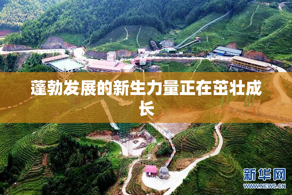 蓬勃发展的新生力量正在茁壮成长