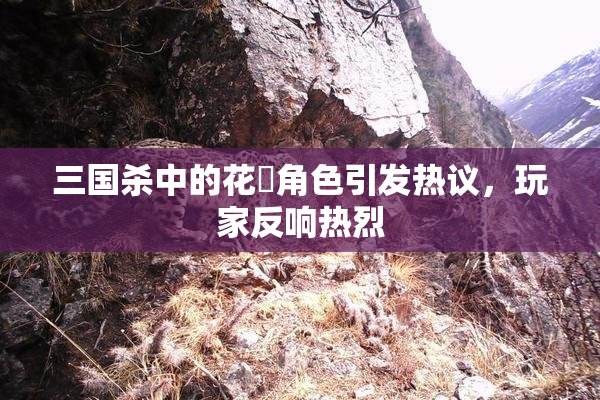 三国杀中的花鬘角色引发热议，玩家反响热烈