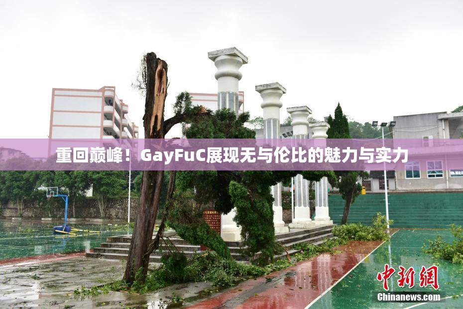 重回巅峰！GayFuC展现无与伦比的魅力与实力