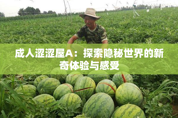 成人涩涩屋A：探索隐秘世界的新奇体验与感受