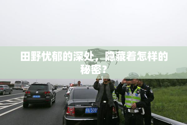 田野忧郁的深处，隐藏着怎样的秘密？
