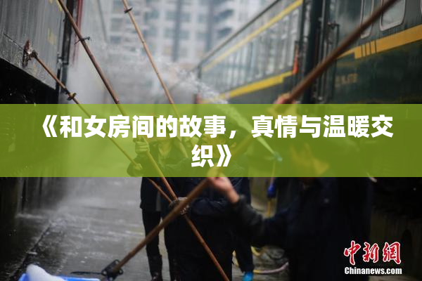《和女房间的故事，真情与温暖交织》