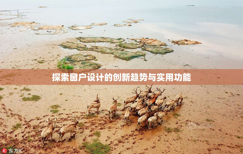 探索窗户设计的创新趋势与实用功能