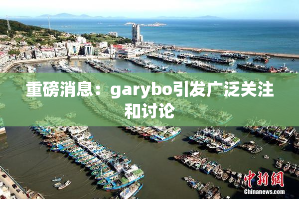 重磅消息：garybo引发广泛关注和讨论