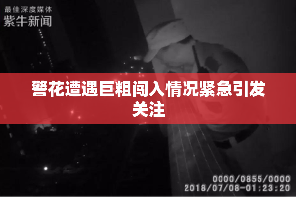 警花遭遇巨粗闯入情况紧急引发关注