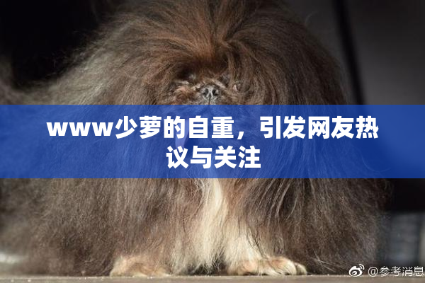 www少萝的自重，引发网友热议与关注