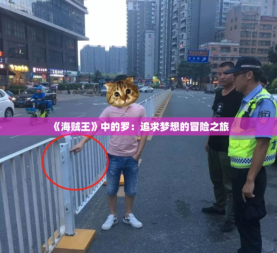 《海贼王》中的罗：追求梦想的冒险之旅