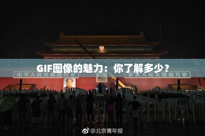 GIF图像的魅力：你了解多少？