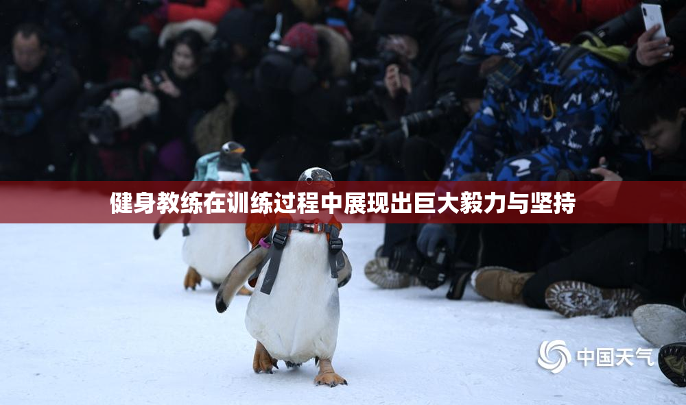 健身教练在训练过程中展现出巨大毅力与坚持