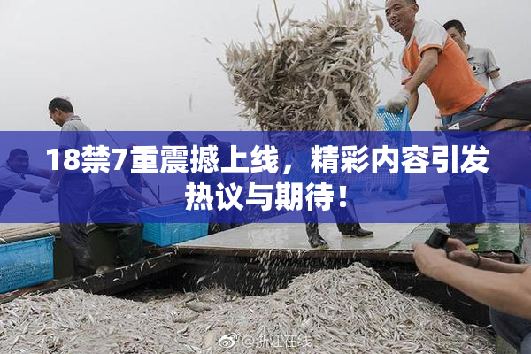 18禁7重震撼上线，精彩内容引发热议与期待！