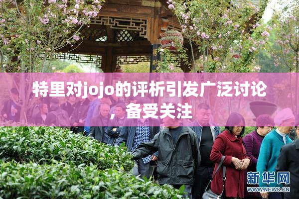 特里对jojo的评析引发广泛讨论，备受关注