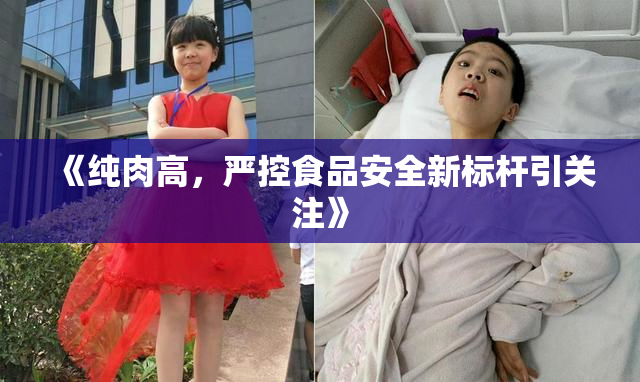 《纯肉高，严控食品安全新标杆引关注》